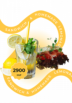 Sandwich & homemade lemonade